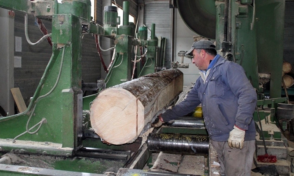 Право на помоћ има и дрвна индустрија: Са једне од пилана