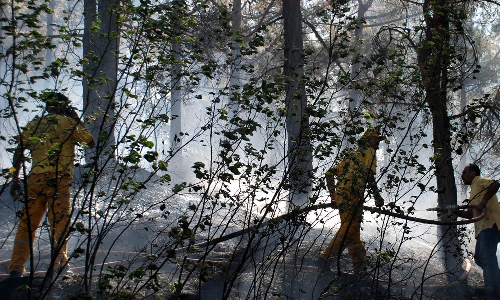 Пожар изазван ударом грома (Фото: илустрација)