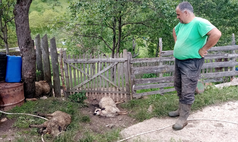 Ништа слично се не памти - Горан Дулановић