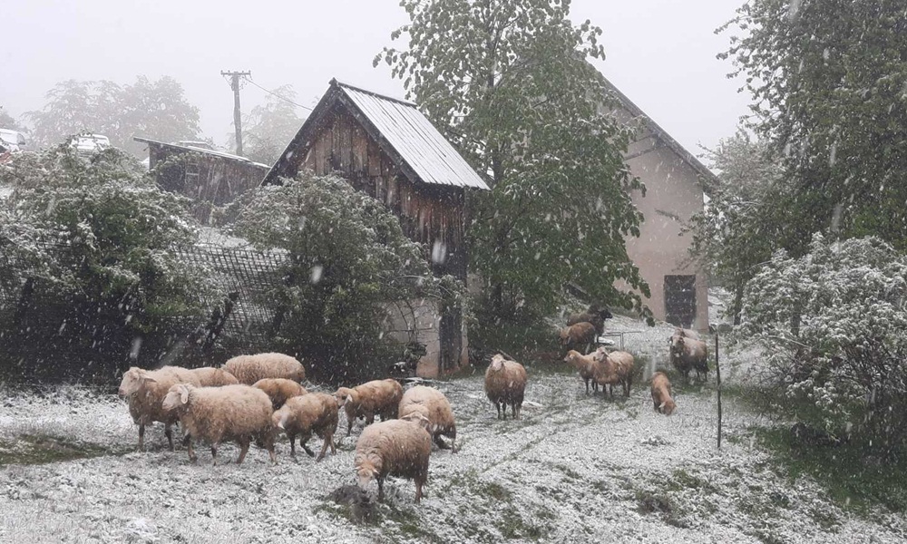 Веје од раног јутра-засеок Равни тор (Фотографије: Д. Спасојевић)