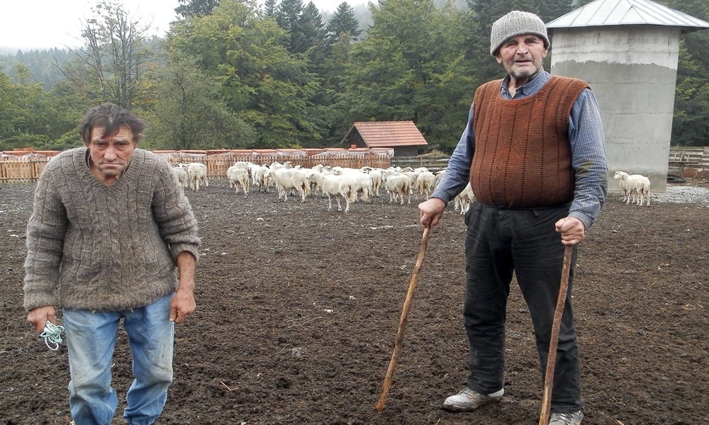 Скрасио се на Муртеници : Андрија (лево) и Сретен