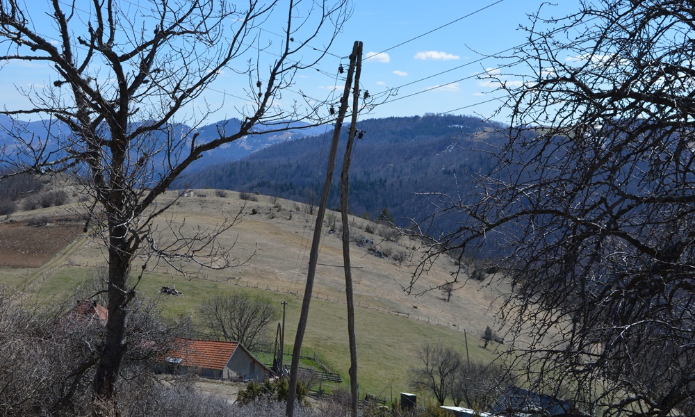 Ове године биће замењено 510 дрвених бандера