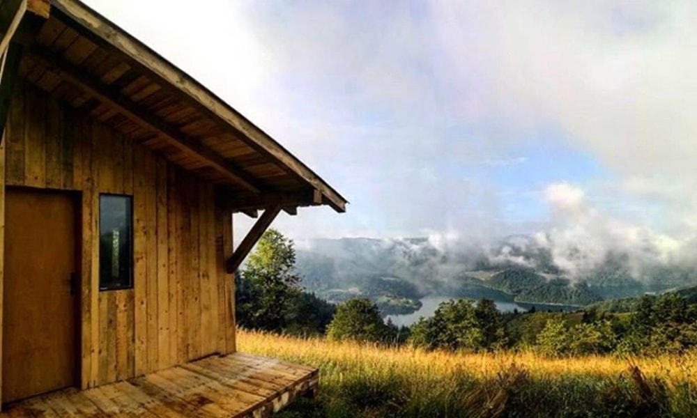Победничка фотографија 