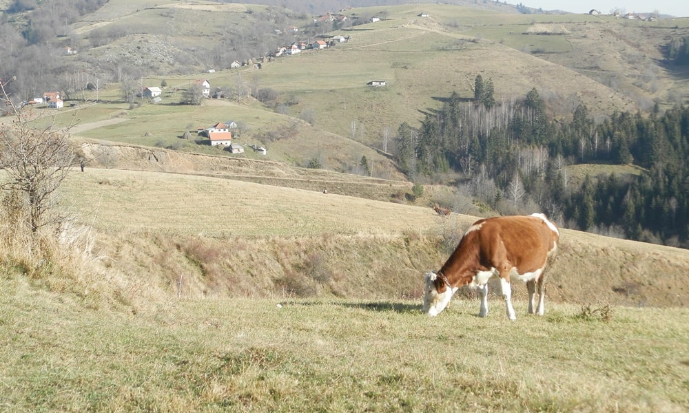 Расте инетересовање за закуп (Фото: илустрација)