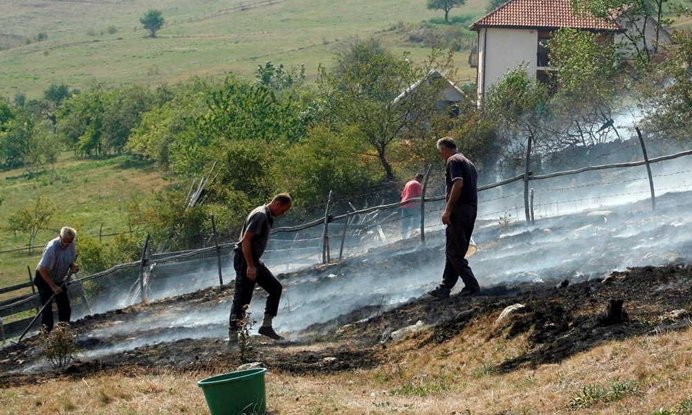 У последња  три дана било је чак 14 пожара (архивски снимак, фото: Р. Прелић)