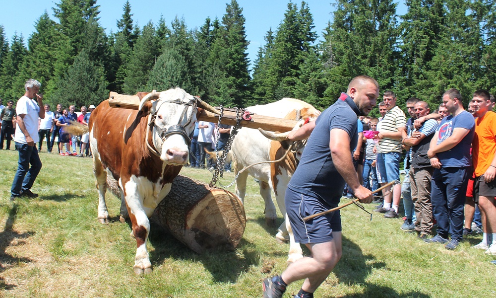 Прва места отишлаа на Муртеницу