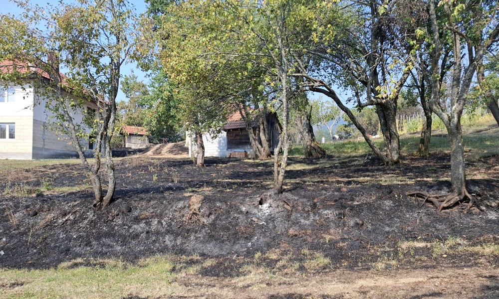 Пожар угрозио и сеоска домаћинства (Фото: приватна архива)