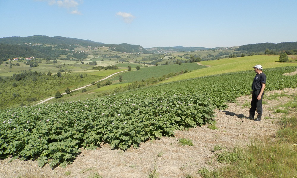 Едукацију обављају стручна лица из ПССС