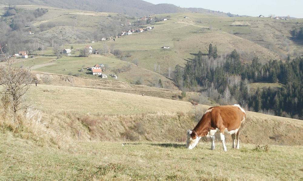 Село Трудово (илустрација)