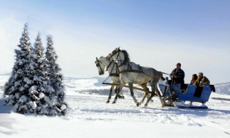 Пуно здравља и среће (Фото: Р. Прелић)