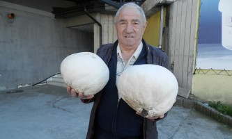 Богат род - Маријан Роговић