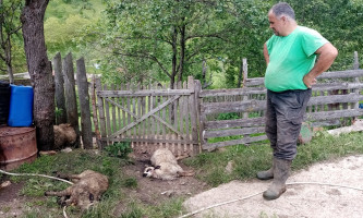 Ништа слично се не памти - Горан Дулановић
