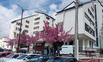 У првих пет месеци ове године рођено свега 20 беба (Фото: Ж. Дулановић)