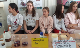Са манифестације у Средњој школи