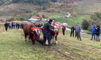 Прошле године у конкуренцији било 17 запрега