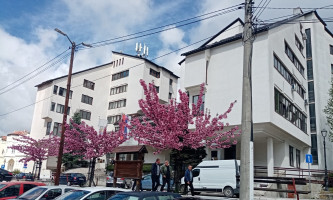 За десет година издвојено 245 милиона динара за подстицај рађању-Општина Нова Варош
