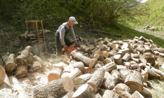 Буковина на четири, а угаљ на шест рата  (фото: илустрација)