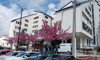 Општинска управа Нова Варош