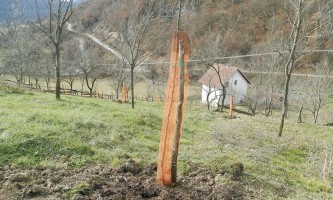 Мрежа чува саднице од зечева