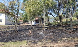 Пожар угрозио и сеоска домаћинства (Фото: приватна архива)