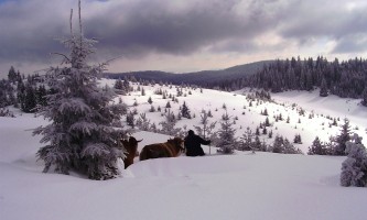 Упркос ниским температурама живот нормално тече (Фото: Н. Пејовић)